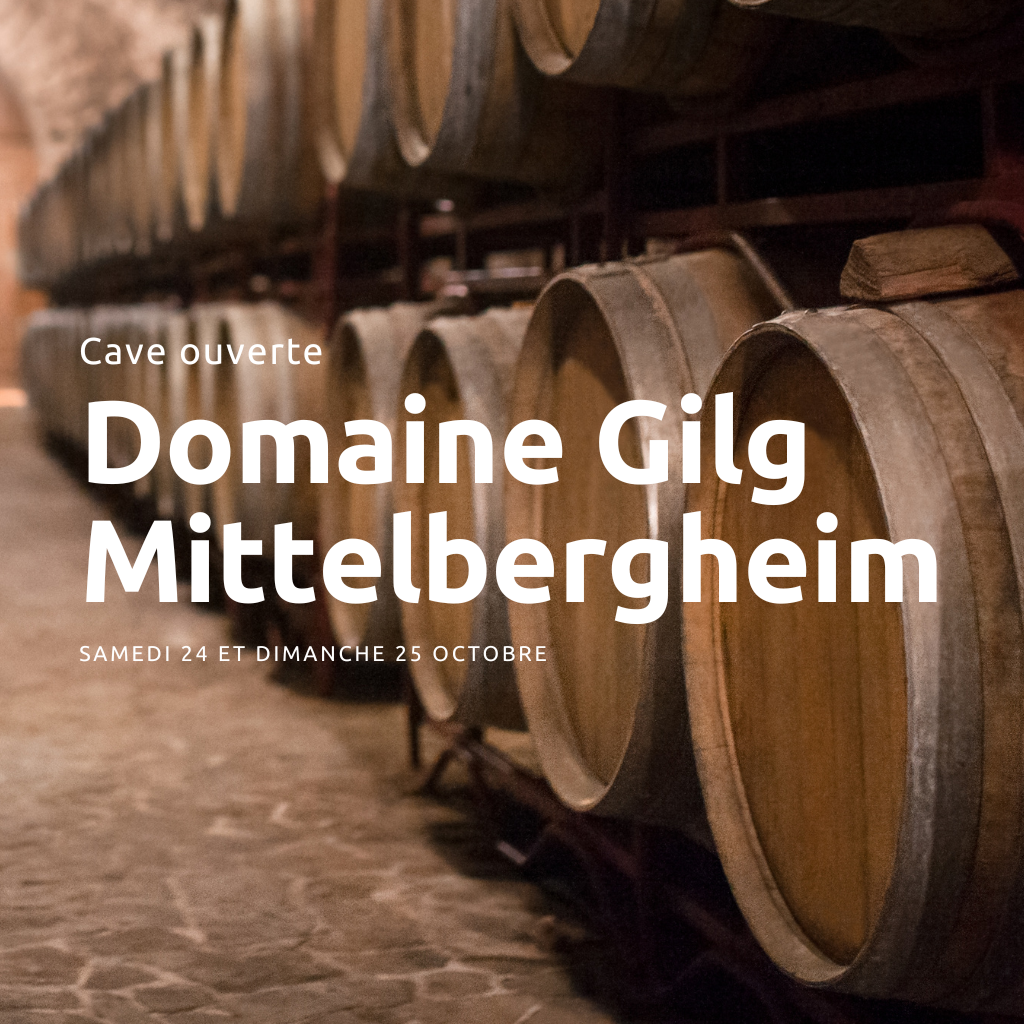 degustation condrieu au domaine GILG à Mittelbergheim