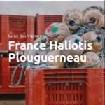 Domaine du Chêne au Salon des Vignerons à Plouguerneau